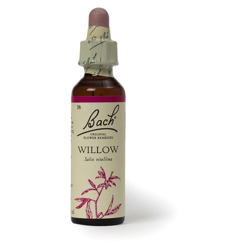 Original Flower Remedy Willow Dropper 20MlFlower Essence
