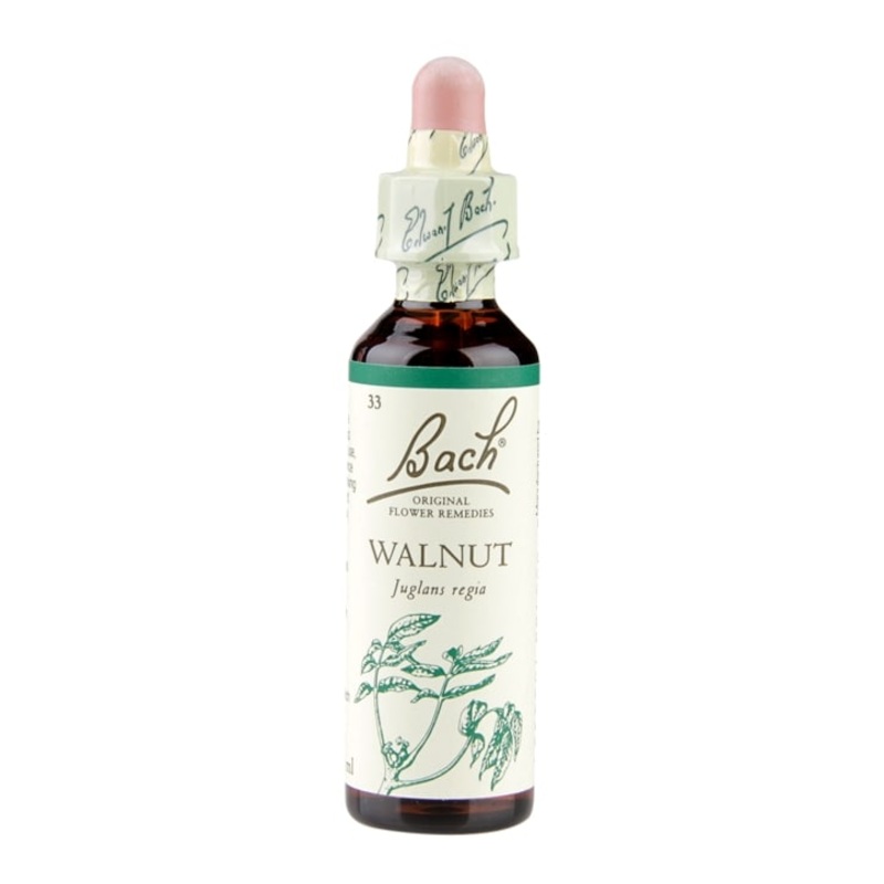 Walnut 20ml