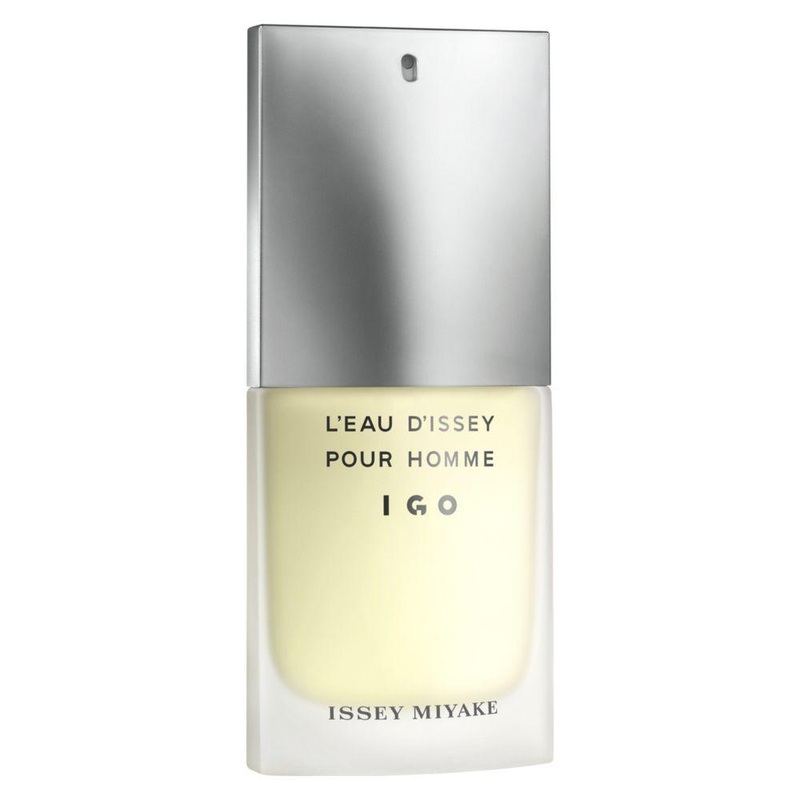 L’Eau D’Issey Pour Homme Edt Igo 100Ml 100 ML