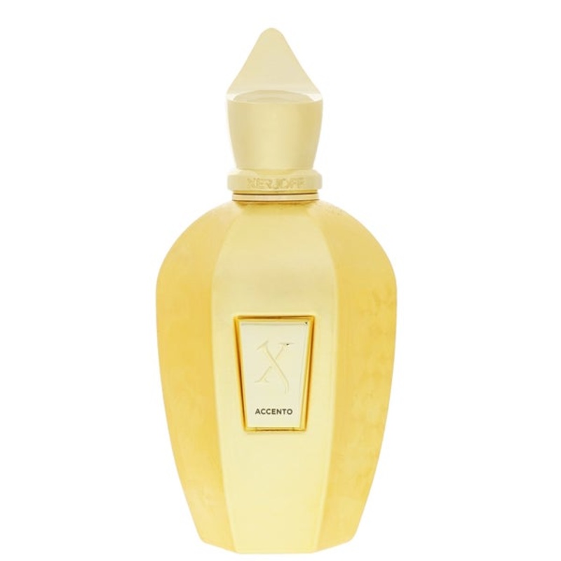 Xerjoff V Collection Accento Overdose Eau de Parfum Spray 100ml